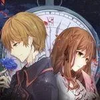 Dollnight pk.webp