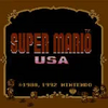 Supermario-usa pk.webp