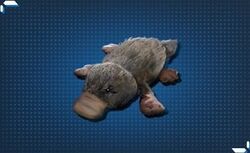 ふわふわアニマル