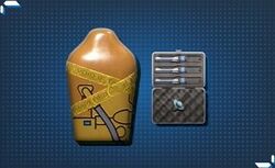 ルーへのプレゼント