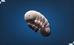 クリプトフィギュア