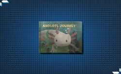 幼児向けの絵本