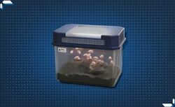 クリプトビオシス育成キット