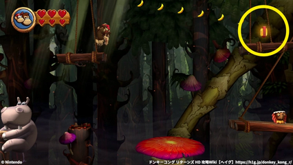 コース5-6：Gパネル