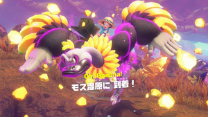 50：モス湿原に 到着！