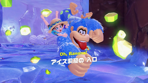 23：アイス洞窟の 入口