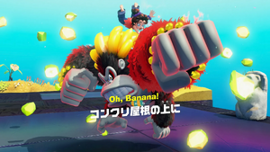 53：コンクリの屋根の上に