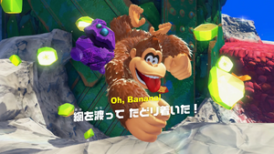 34：網を渡って たどり着いた！