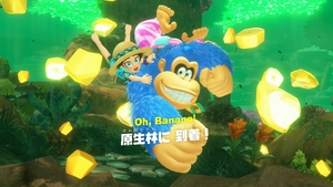 01：原生林に 到着！