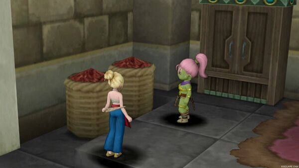 世話焼きオバサンの計画