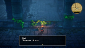 ガライの墓・地下2階