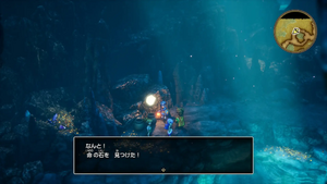 ヌシのすみか・東海