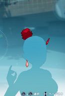 バロックポニーテール