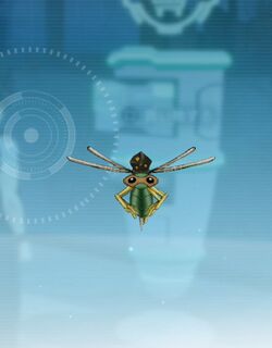 ブロンズフライ