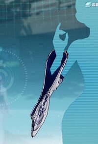 和バニーリスト