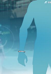 サーフバングル