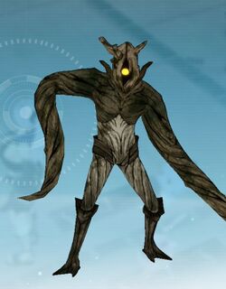 ドライプラント