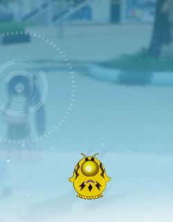 サンダーニーテル