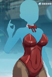 サイバーバニースーツ