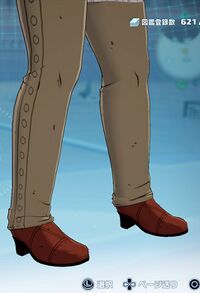 カウガールブーツ