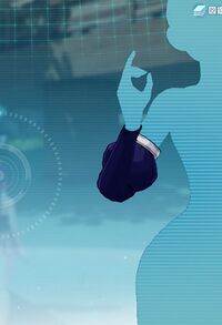 セレモニーアームカバー