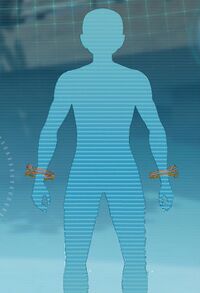 トリコロールバングル