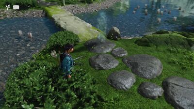 Record622 - frame at 79m34s.jpg