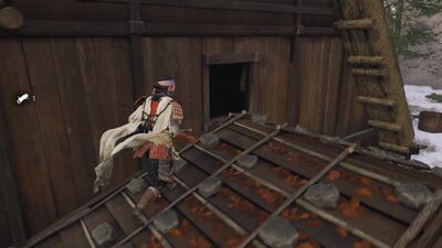 Record650 - frame at 35m32s.jpg