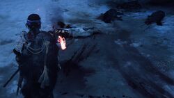 狼の巣穴の画像