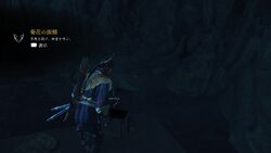 名寄ヶ沢の画像