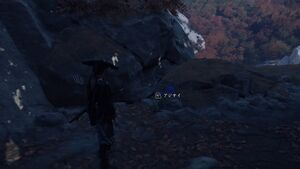 ゆるし花の画像