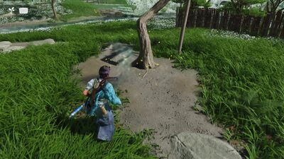 Record622 - frame at 75m35s.jpg