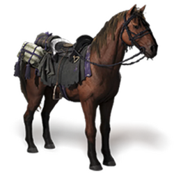 デジタルデラックス版 馬と馬具.webp