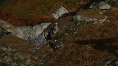 ゆるし花の画像