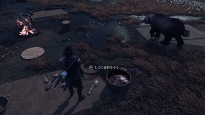 失いしものの画像