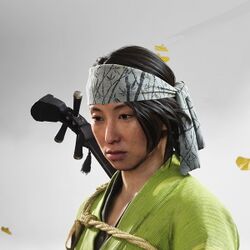 真竹の鉢巻きの画像