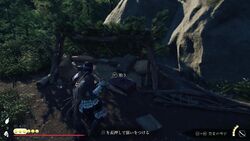 名寄ヶ沢の画像