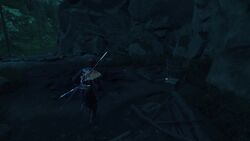 名寄ヶ沢の画像