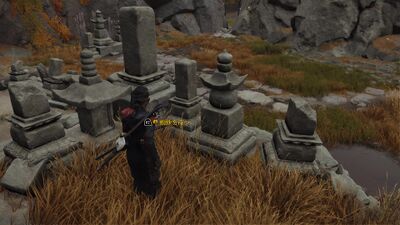 Record663 - frame at 36m15s.jpg