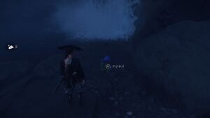 ゆるし花の画像