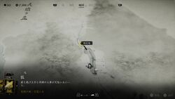 名寄ヶ沢の画像