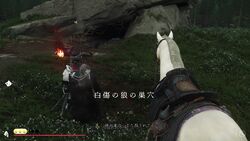 狼の巣穴の画像