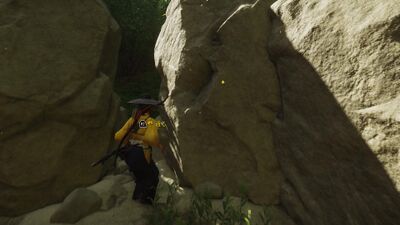 二刀の教えの画像