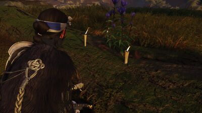 誉れのためにの画像