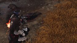 狼の巣穴の画像