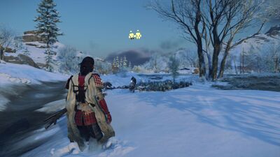 Record648 - frame at 87m25s.jpg