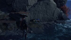 ゆるし花の画像