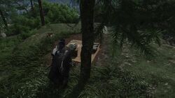 名寄ヶ沢の画像