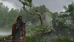 狼の巣穴の画像