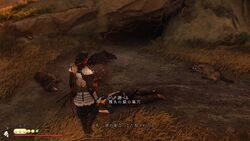 三味線の曲の画像